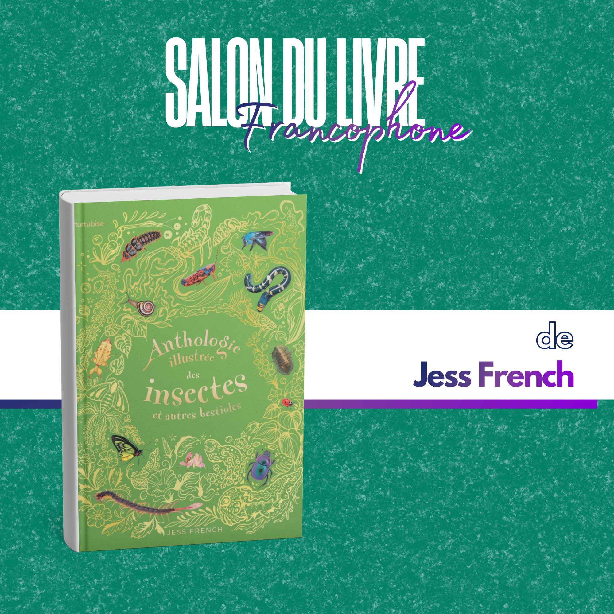 Anthologie illustrée des insectes et autres bestioles