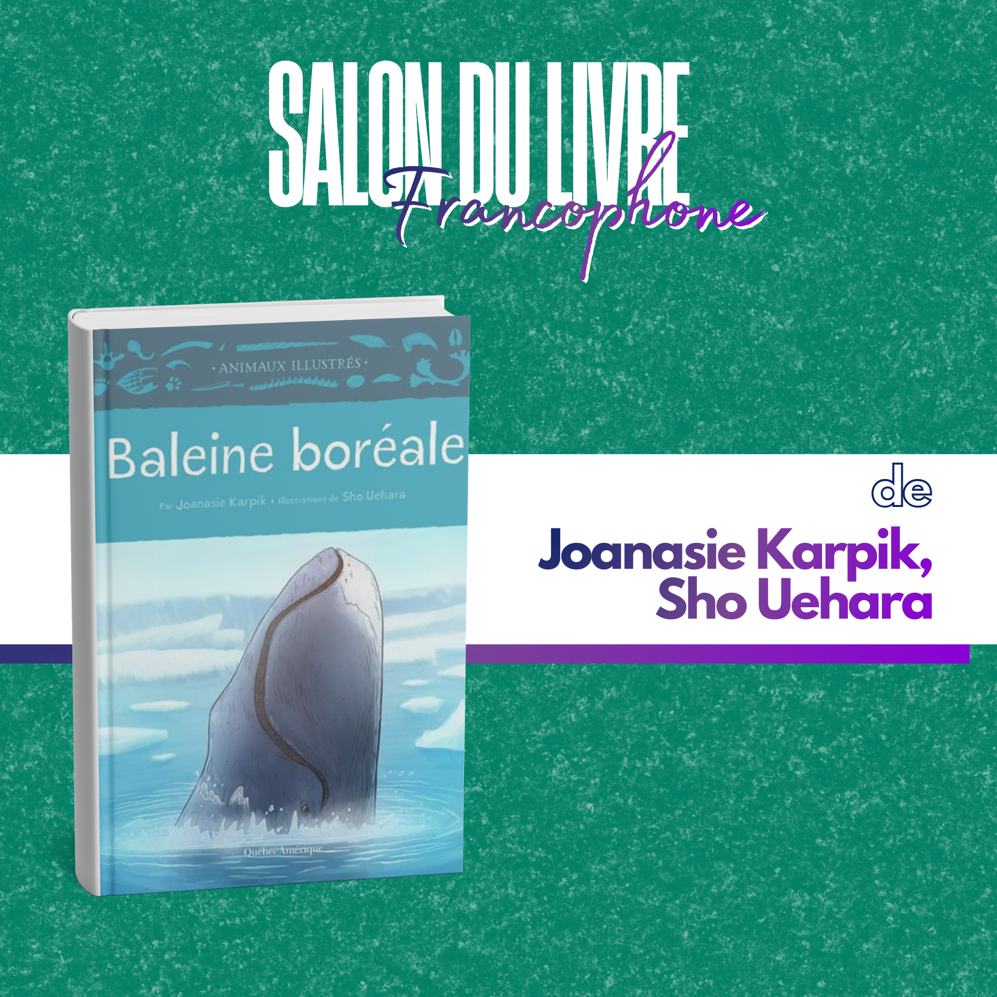 Baleine boréale
